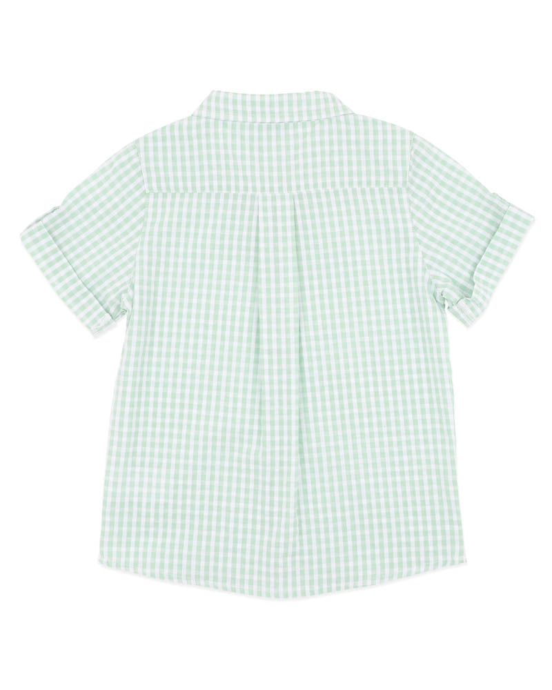 Roman Green Check SS Shirt | Green Check