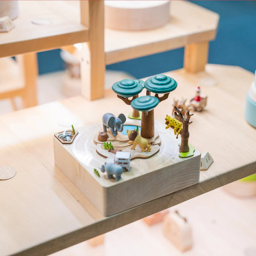 African Safari | City Wooden Music Box