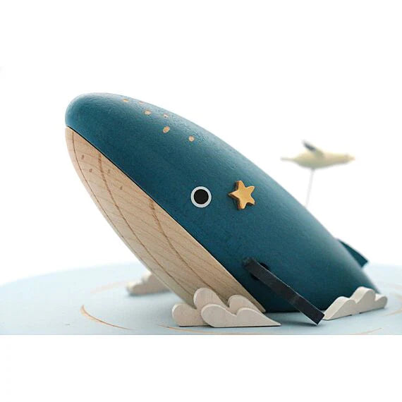 Whale Watching