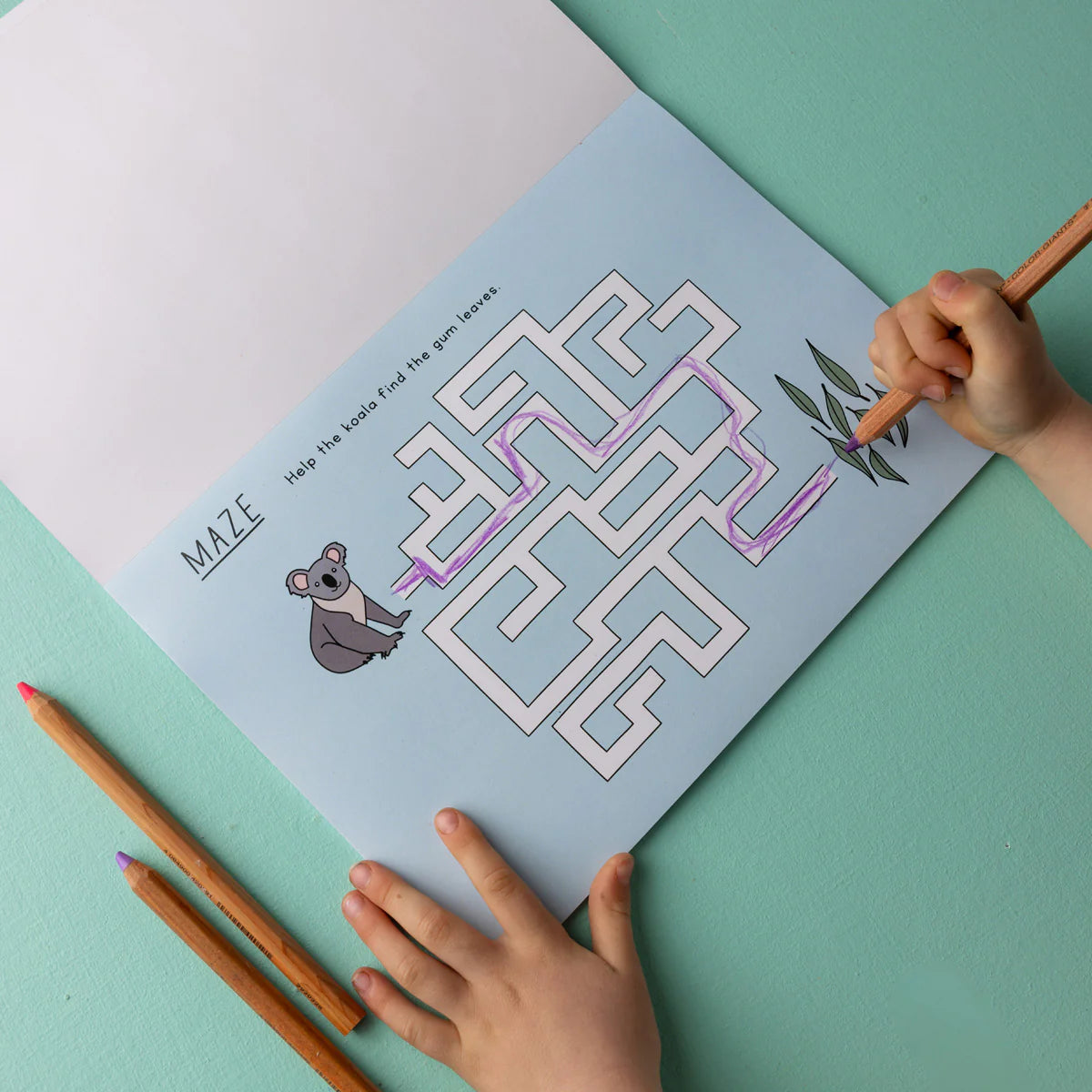 Aussie Activity Book