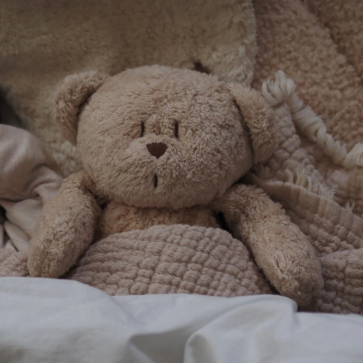 Moonie | Sensory Little Teddy | Cappuccino