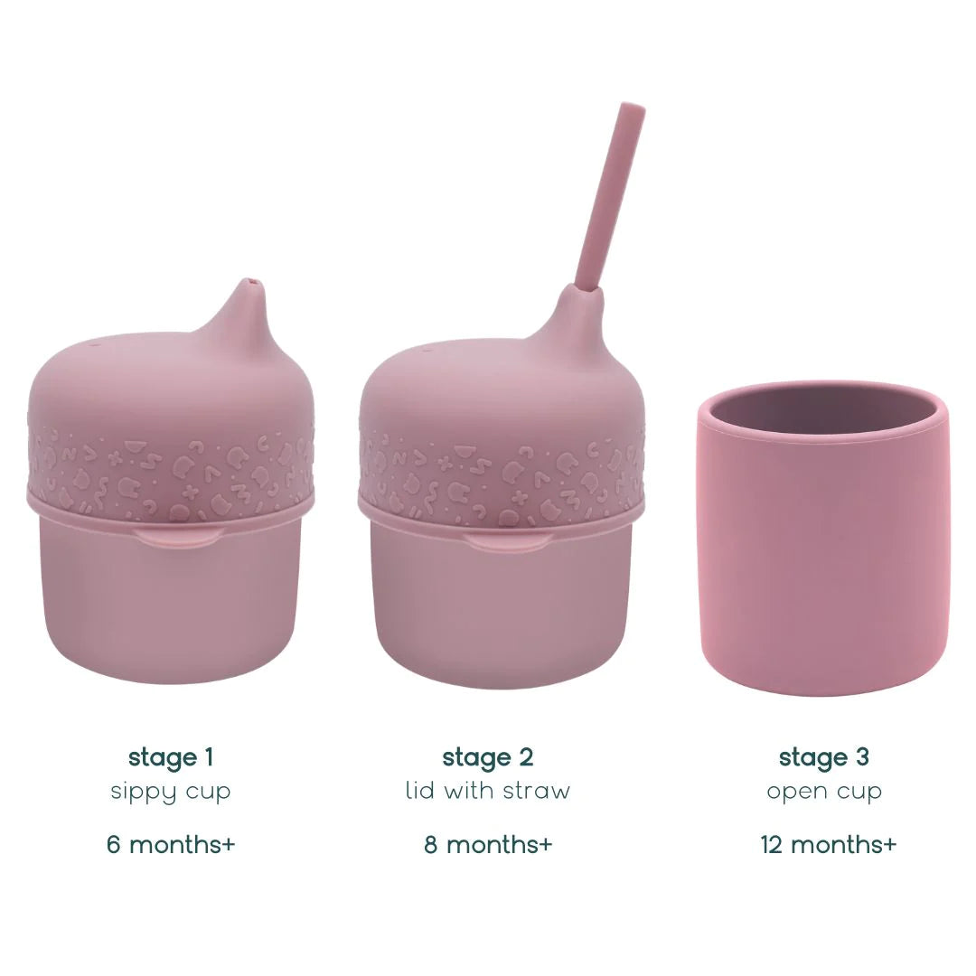 Sippie Cup Set | Dusty Rose