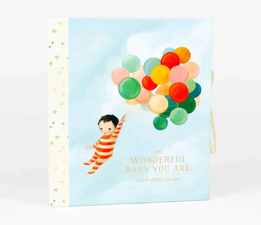 Wonderful Baby you Are: A Record of Baby's First Year