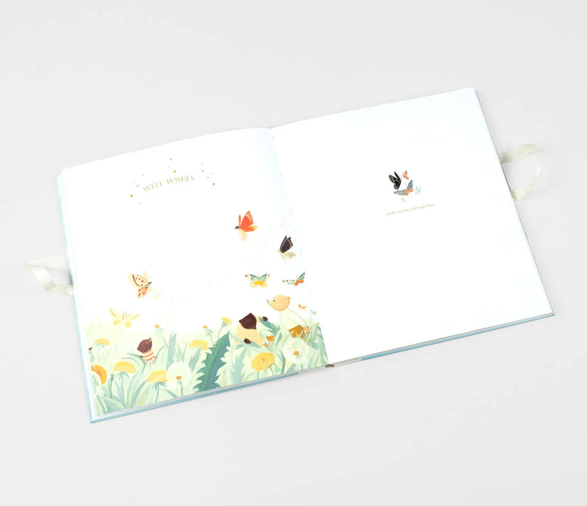 Wonderful Baby you Are: A Record of Baby&#39;s First Year